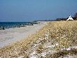 Strand auf dem Darss.jpg