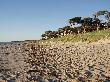 Darss_Küste weststrand.jpg