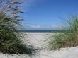 prerow_sommer_2006.jpg