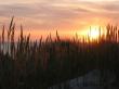 Sonnenuntergang am Weststrand.jpg