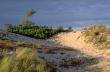 DuneAtDarsz_BalticSea.jpg