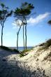 weststrand darss.jpg